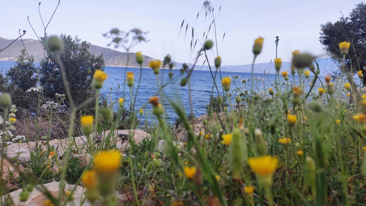 Agrilia Koromili Retreat