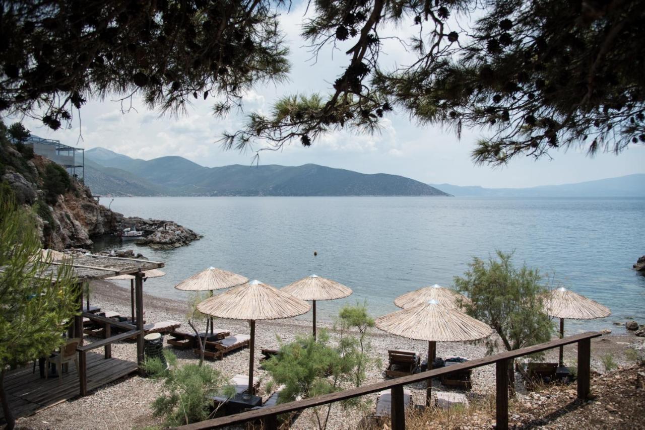Agrilia Koromili Retreat Paralia Livadostratas