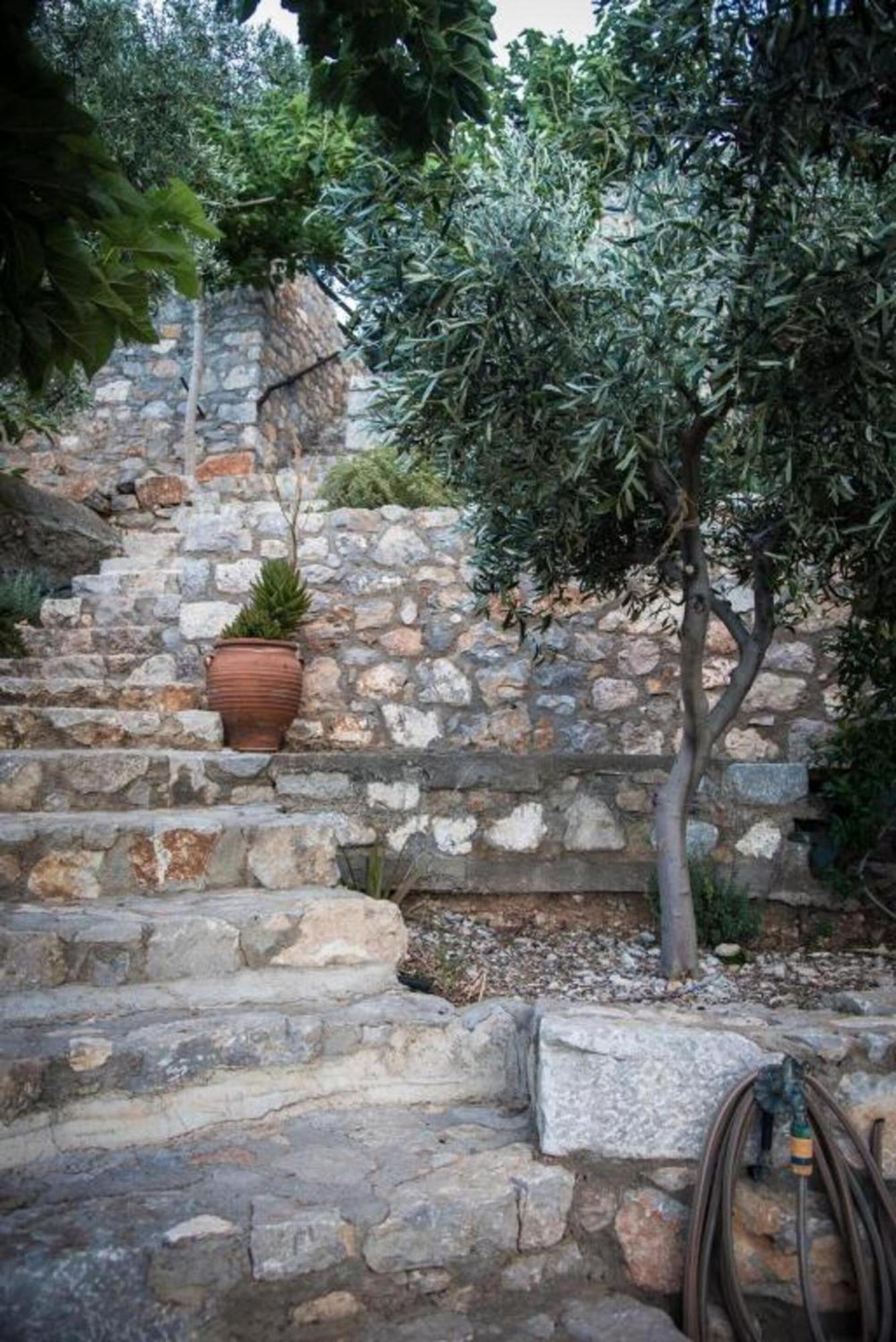 Apartment Agrilia Koromili Retreat