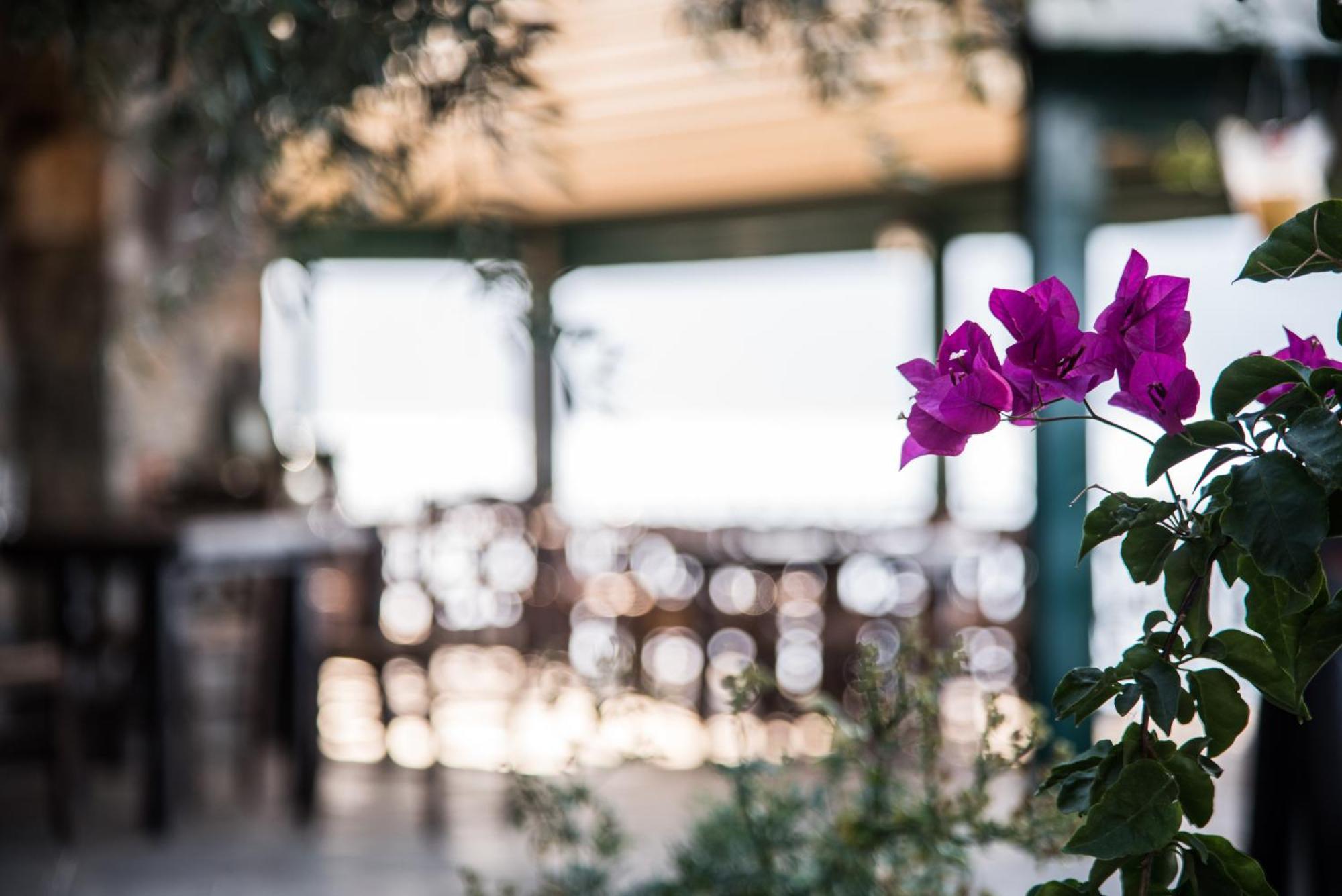 Agrilia Koromili Retreat Апартаменты